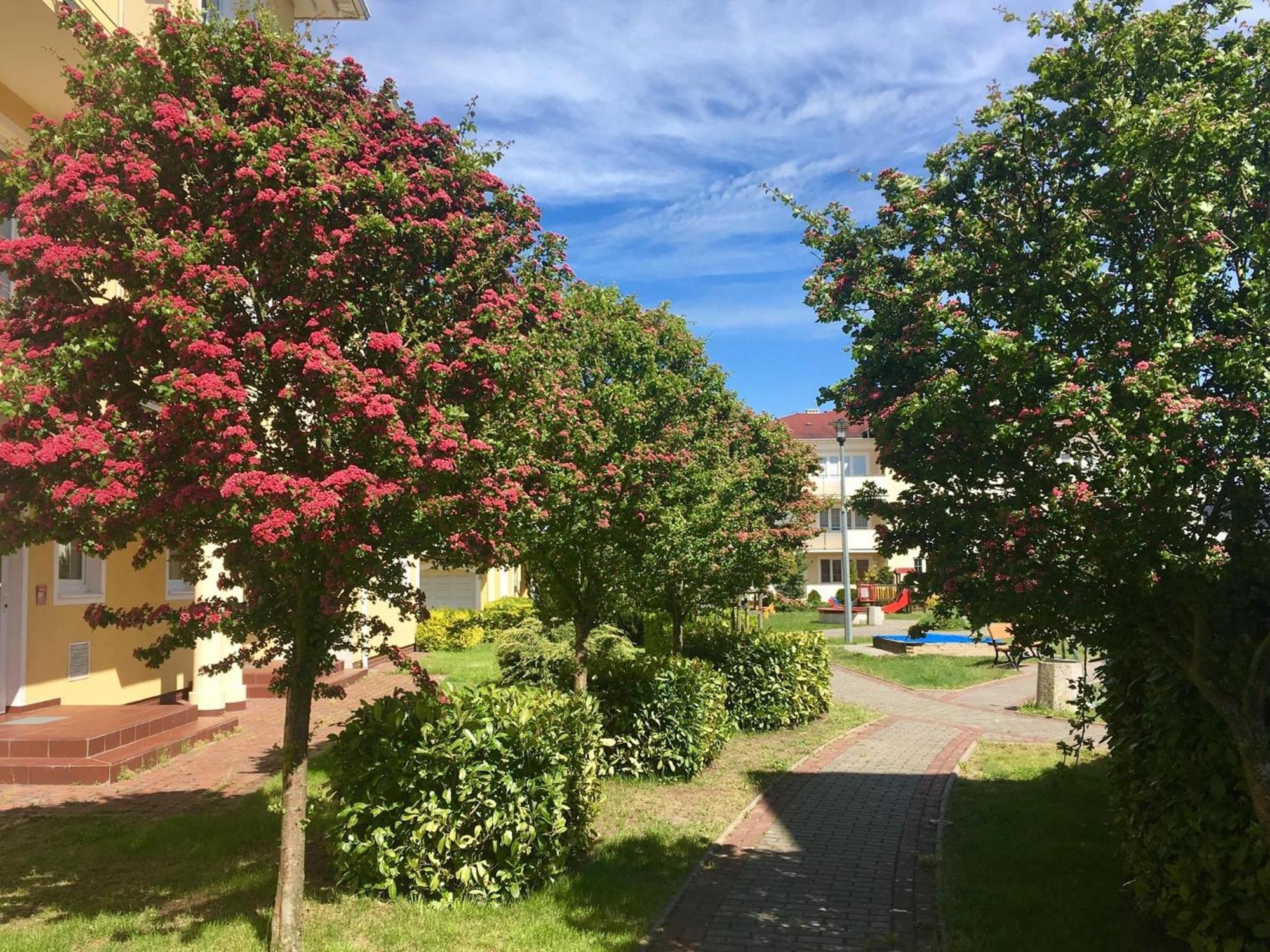 Baltic Apartament Studio Z Ogrodkiem Grzybowo Kolobrzeg Luaran gambar